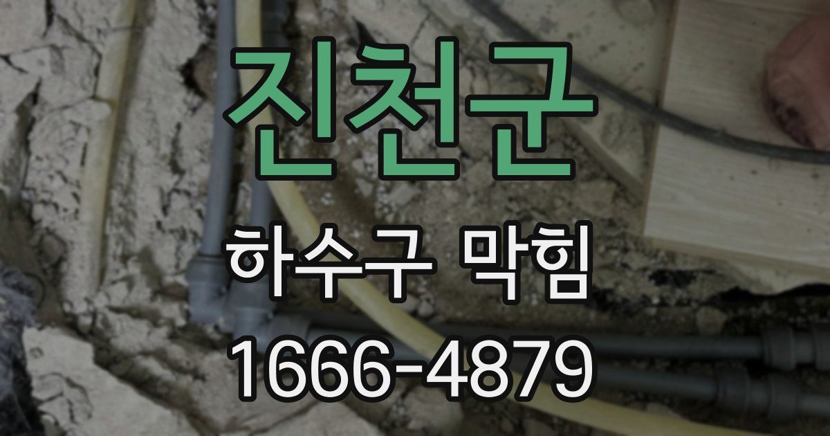 진천군 하수구 막힘