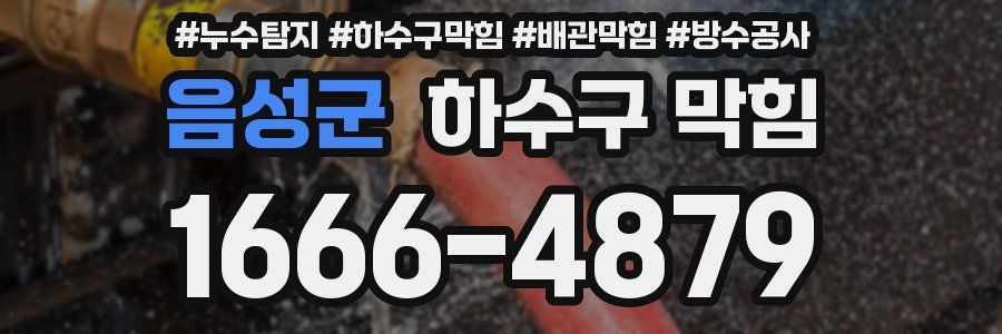 음성군 하수구 막힘