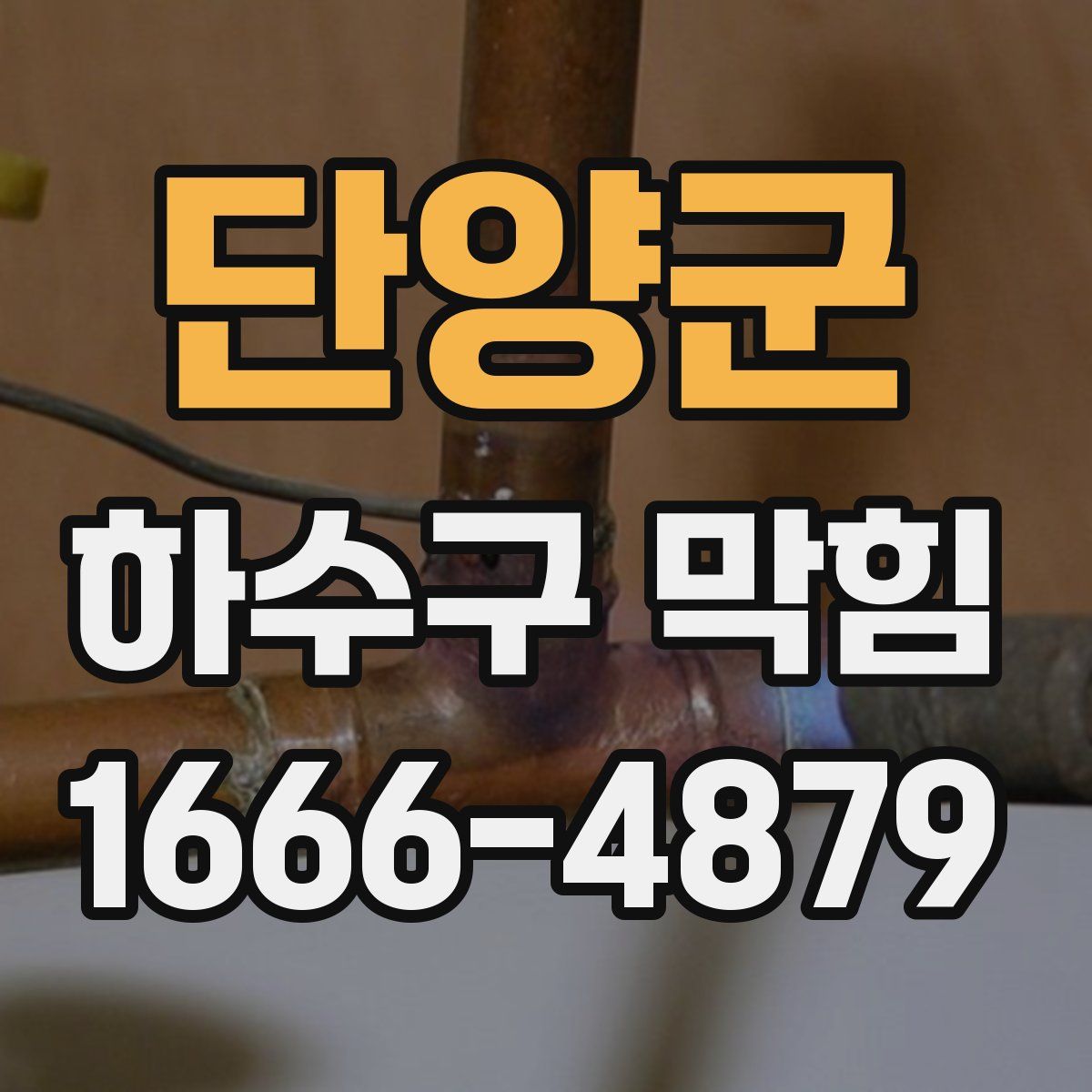 단양군 하수구 막힘