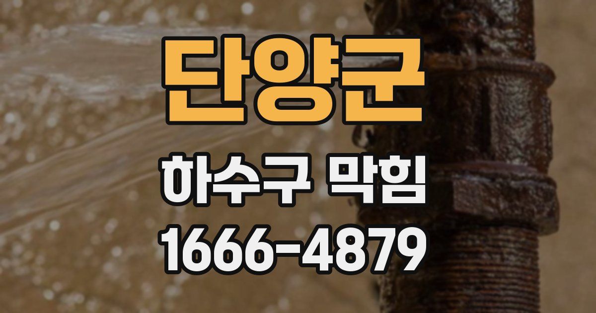 단양군 하수구 막힘