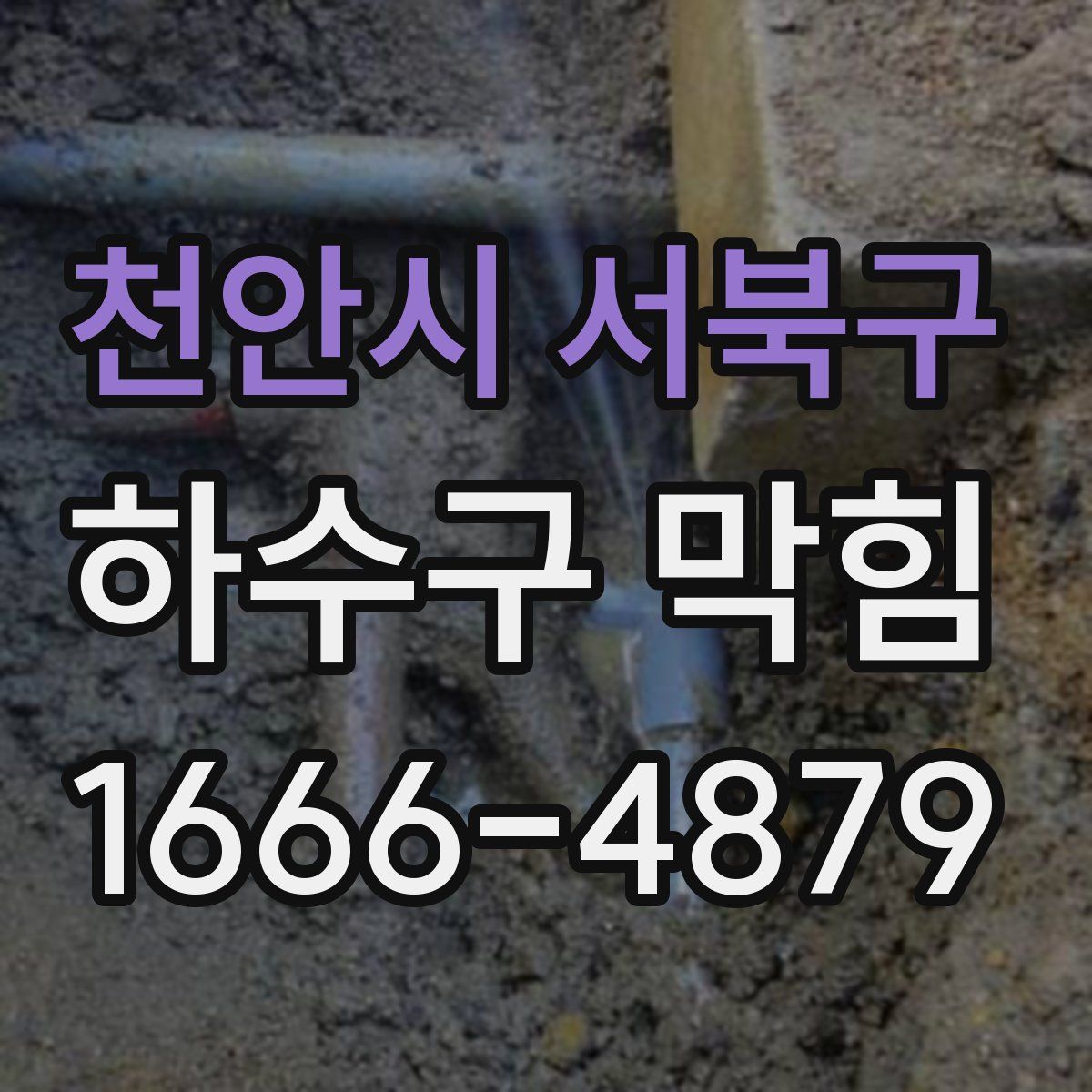 천안시 서북구 하수구 막힘