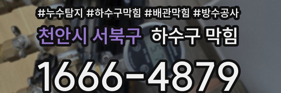 천안시 서북구 하수구 막힘