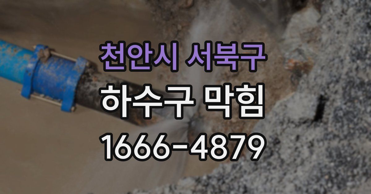 천안시 서북구 하수구 막힘