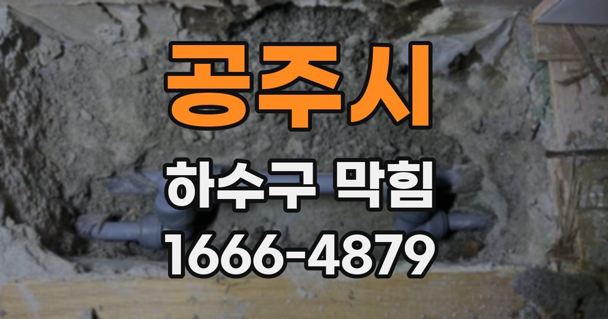 공주시 하수구 막힘