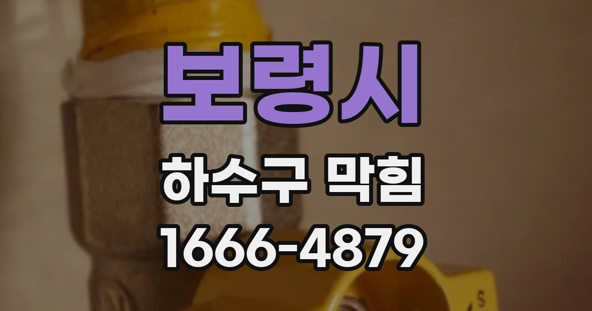 보령시 하수구 막힘