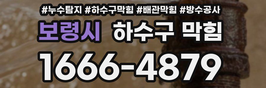 보령시 하수구 막힘