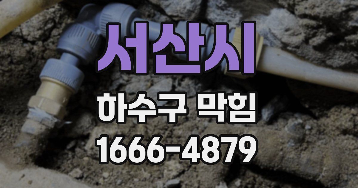 서산시 하수구 막힘