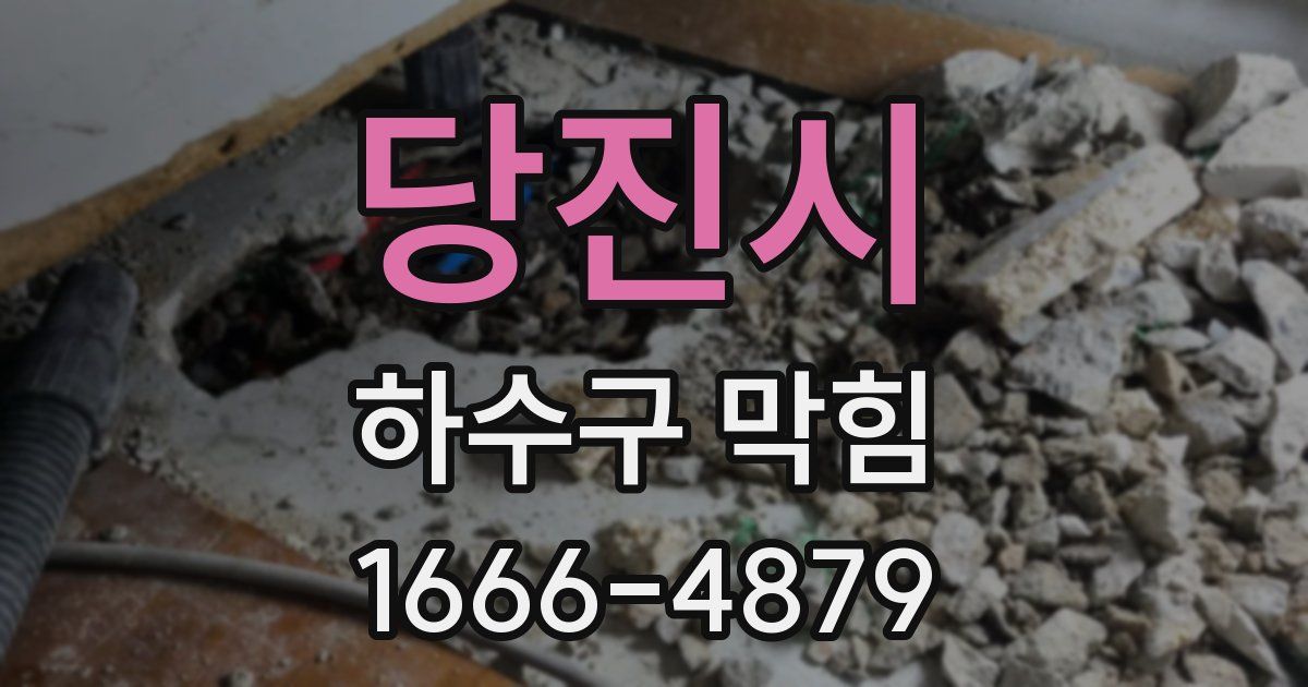 당진시 하수구 막힘
