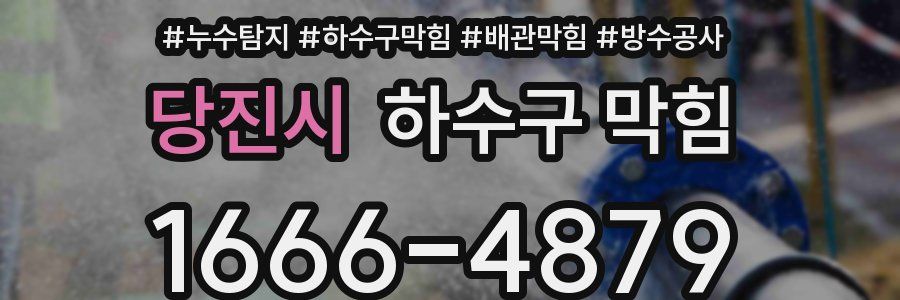 당진시 하수구 막힘