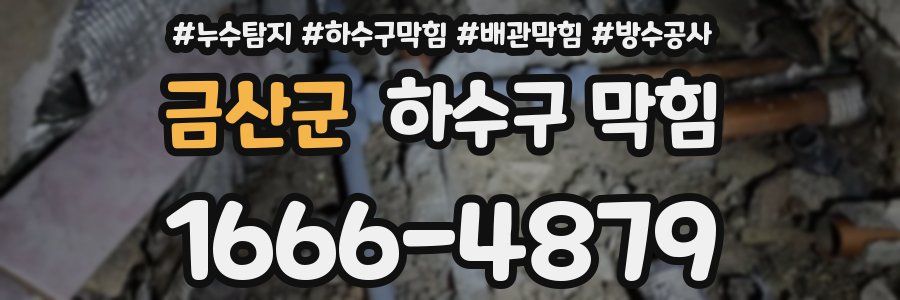 금산군 하수구 막힘