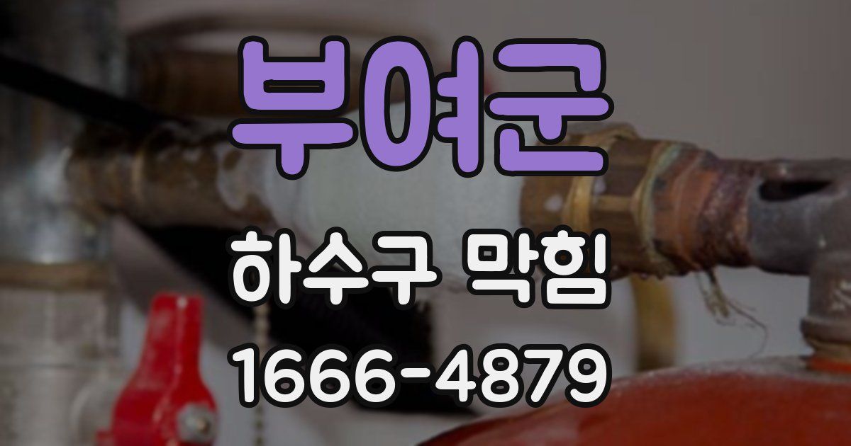 부여군 하수구 막힘