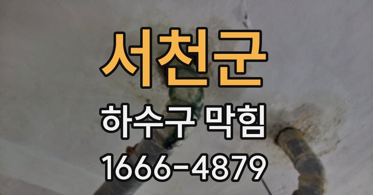 서천군 하수구 막힘