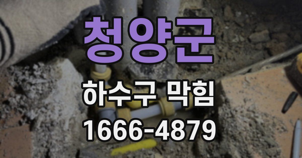청양군 하수구 막힘