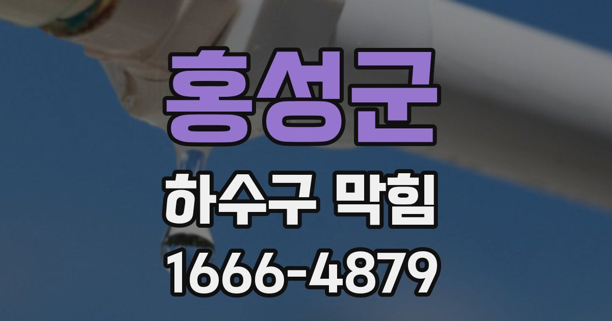 홍성군 하수구 막힘