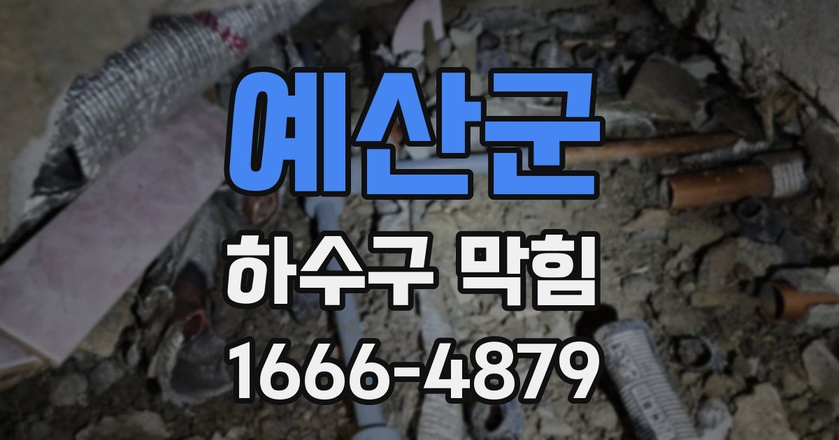 예산군 하수구 막힘