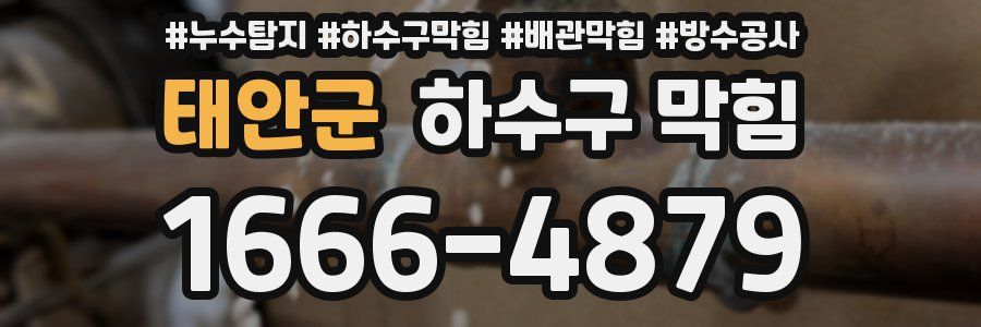 태안군 하수구 막힘