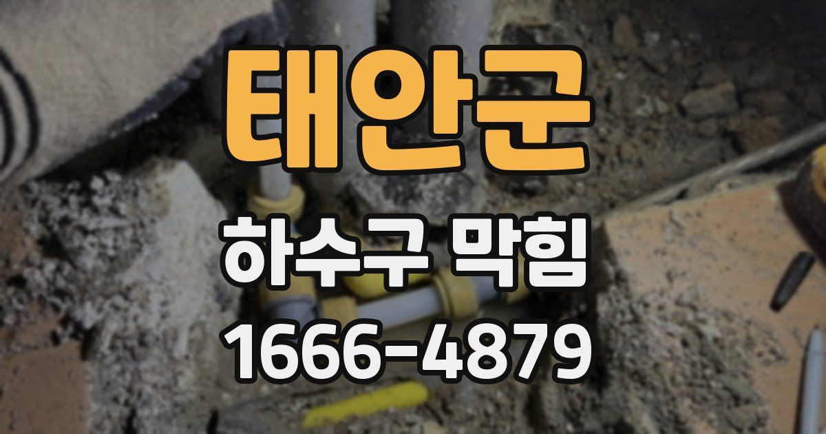 태안군 하수구 막힘
