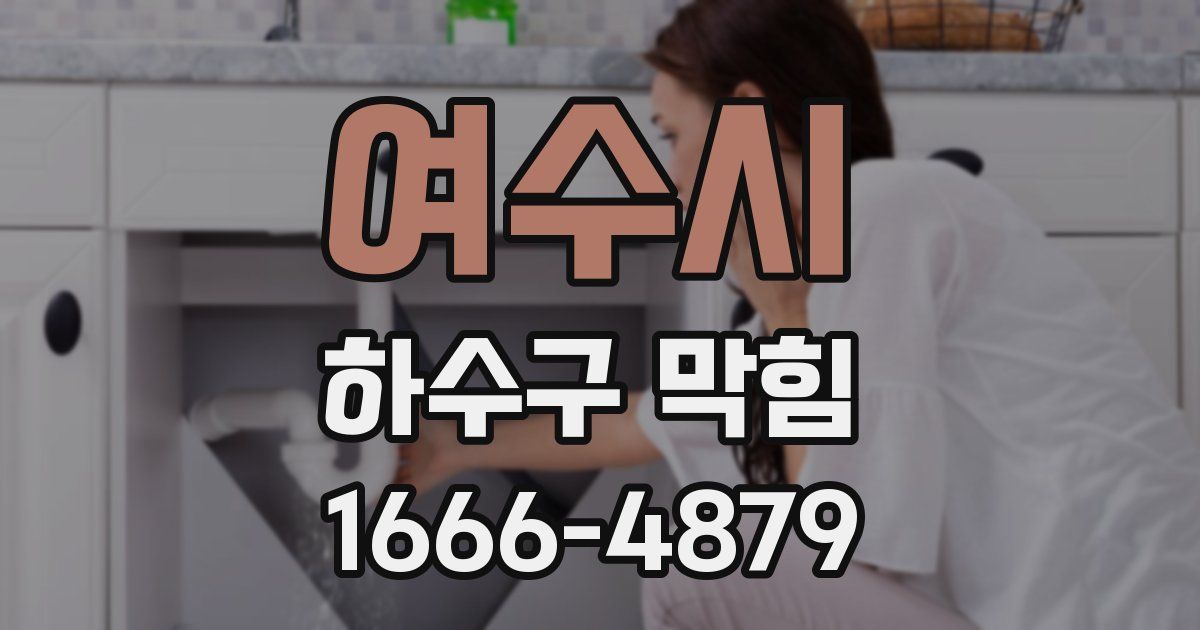 여수시 하수구 막힘