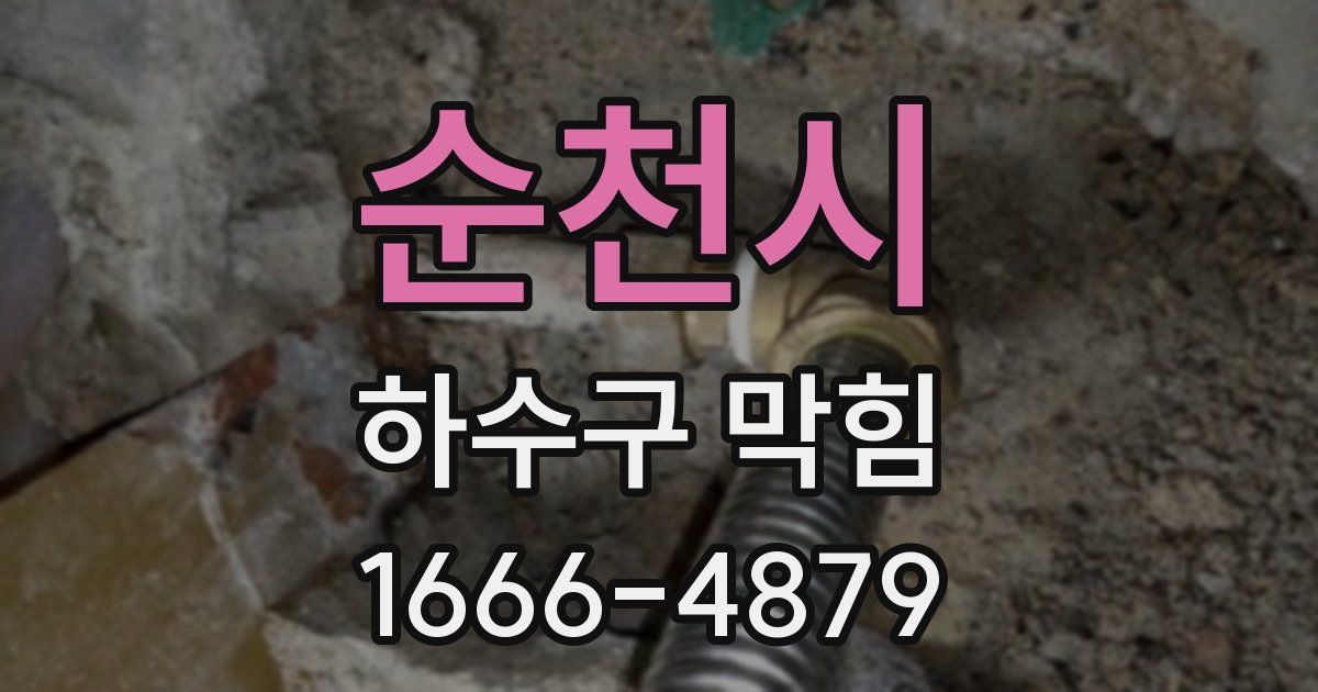 순천시 하수구 막힘