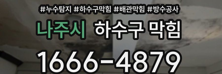 나주시 하수구 막힘