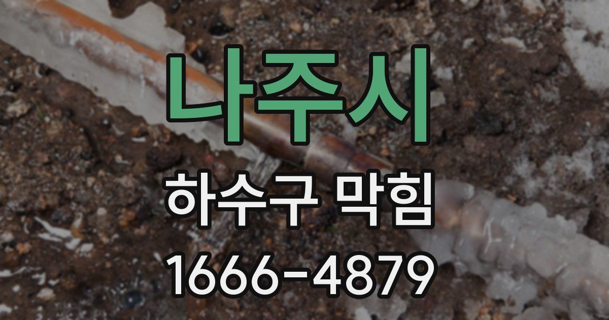 나주시 하수구 막힘