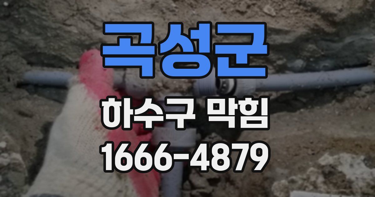 곡성군 하수구 막힘