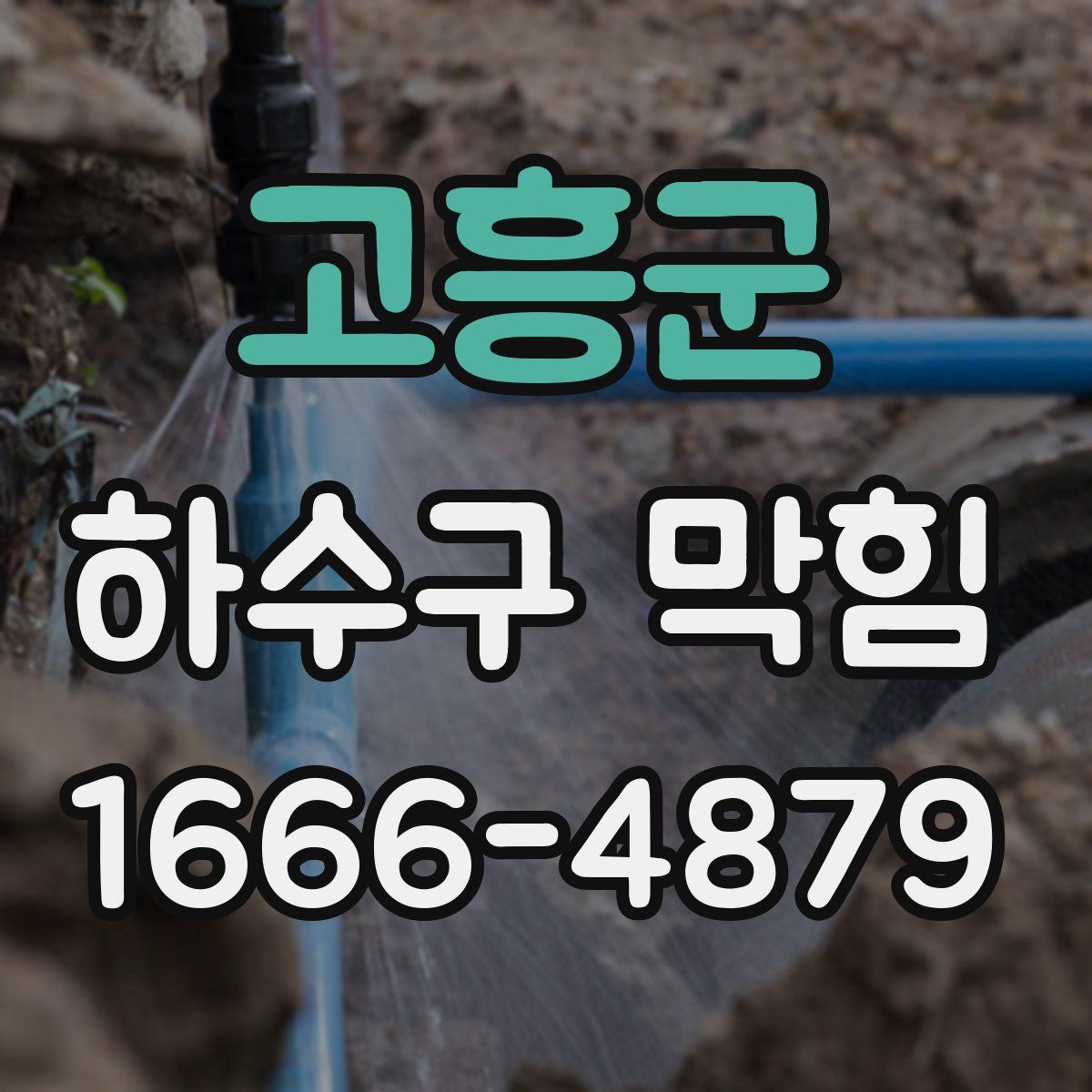 고흥군 하수구 막힘