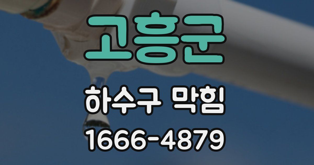 고흥군 하수구 막힘