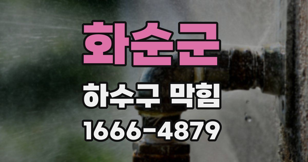 화순군 하수구 막힘