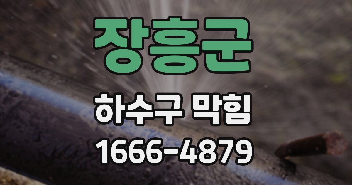 장흥군 하수구 막힘