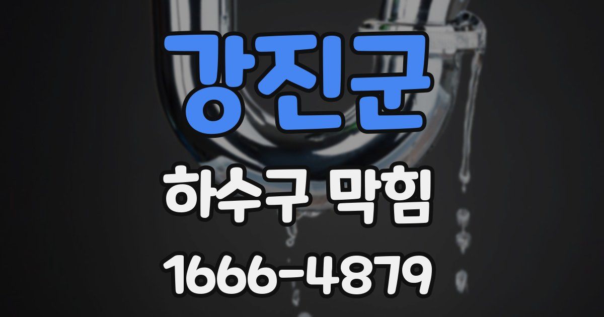강진군 하수구 막힘
