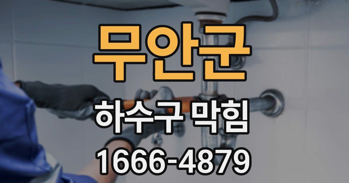 무안군 하수구 막힘