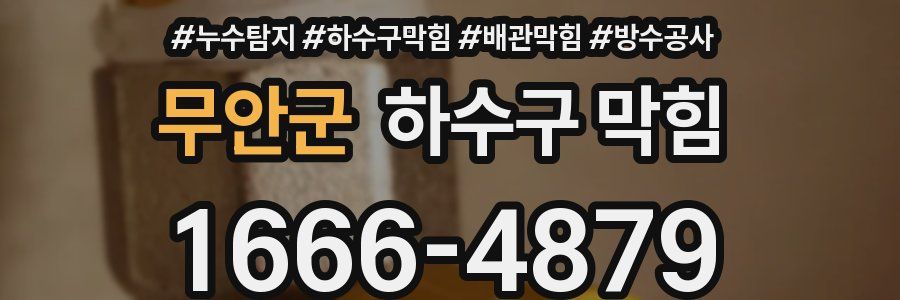 무안군 하수구 막힘