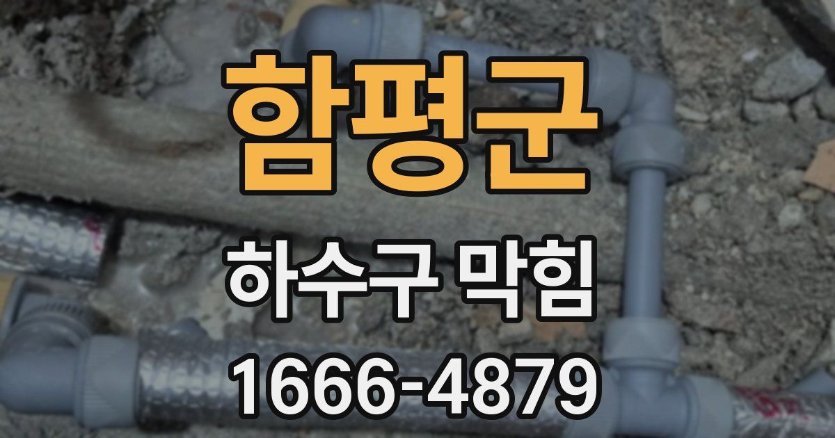 함평군 하수구 막힘