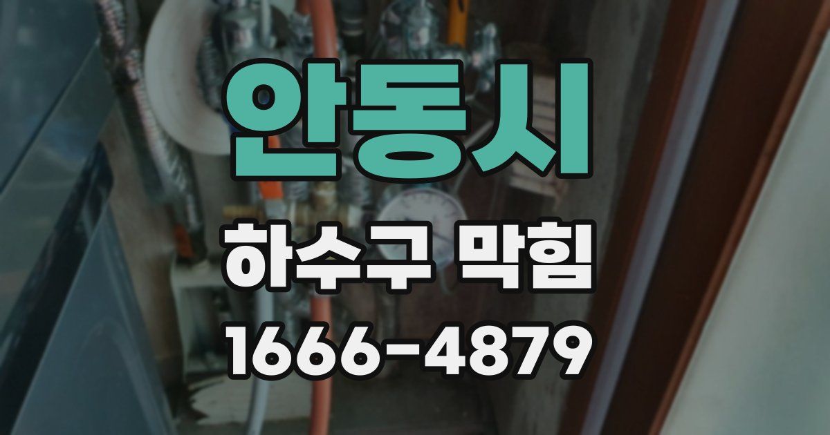 안동시 하수구 막힘