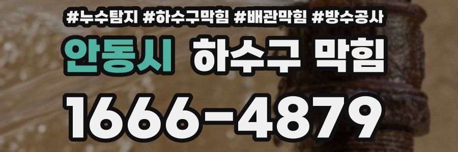 안동시 하수구 막힘