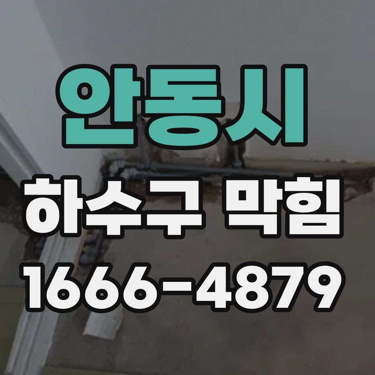 안동시 하수구 막힘