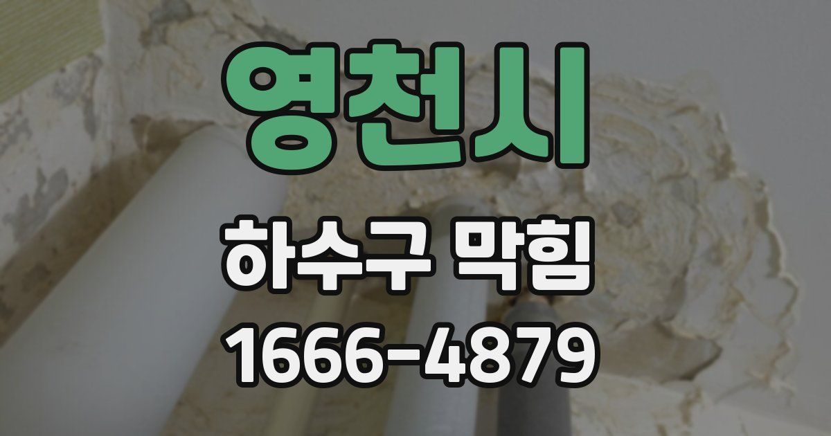 영천시 하수구 막힘