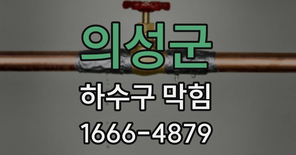 의성군 하수구 막힘