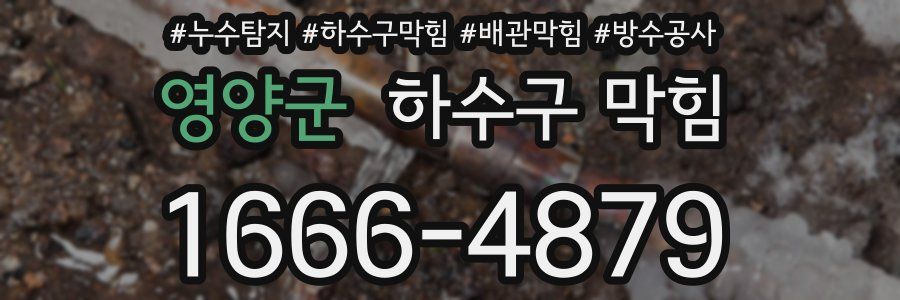 영양군 하수구 막힘