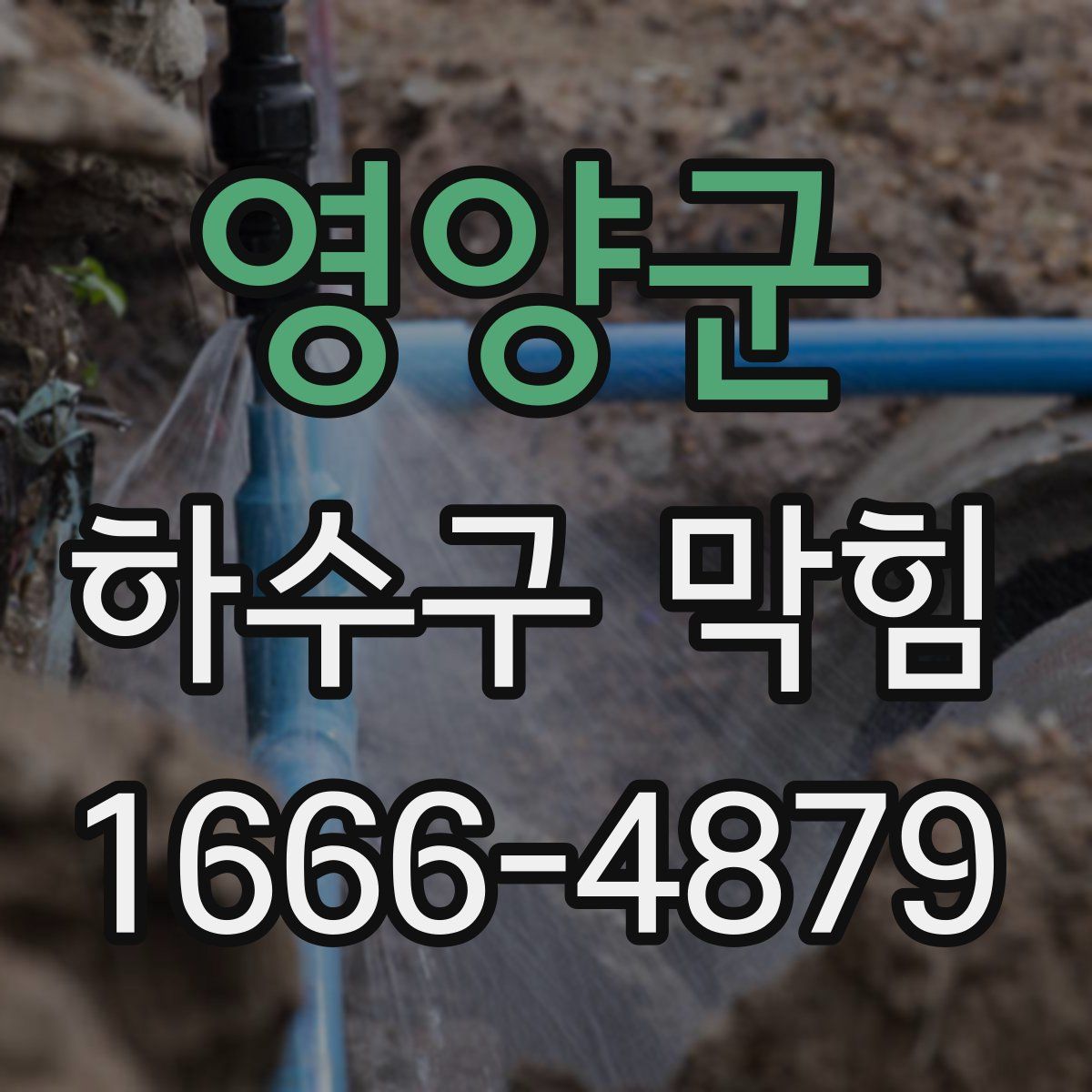 영양군 하수구 막힘