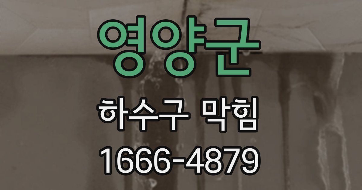 영양군 하수구 막힘