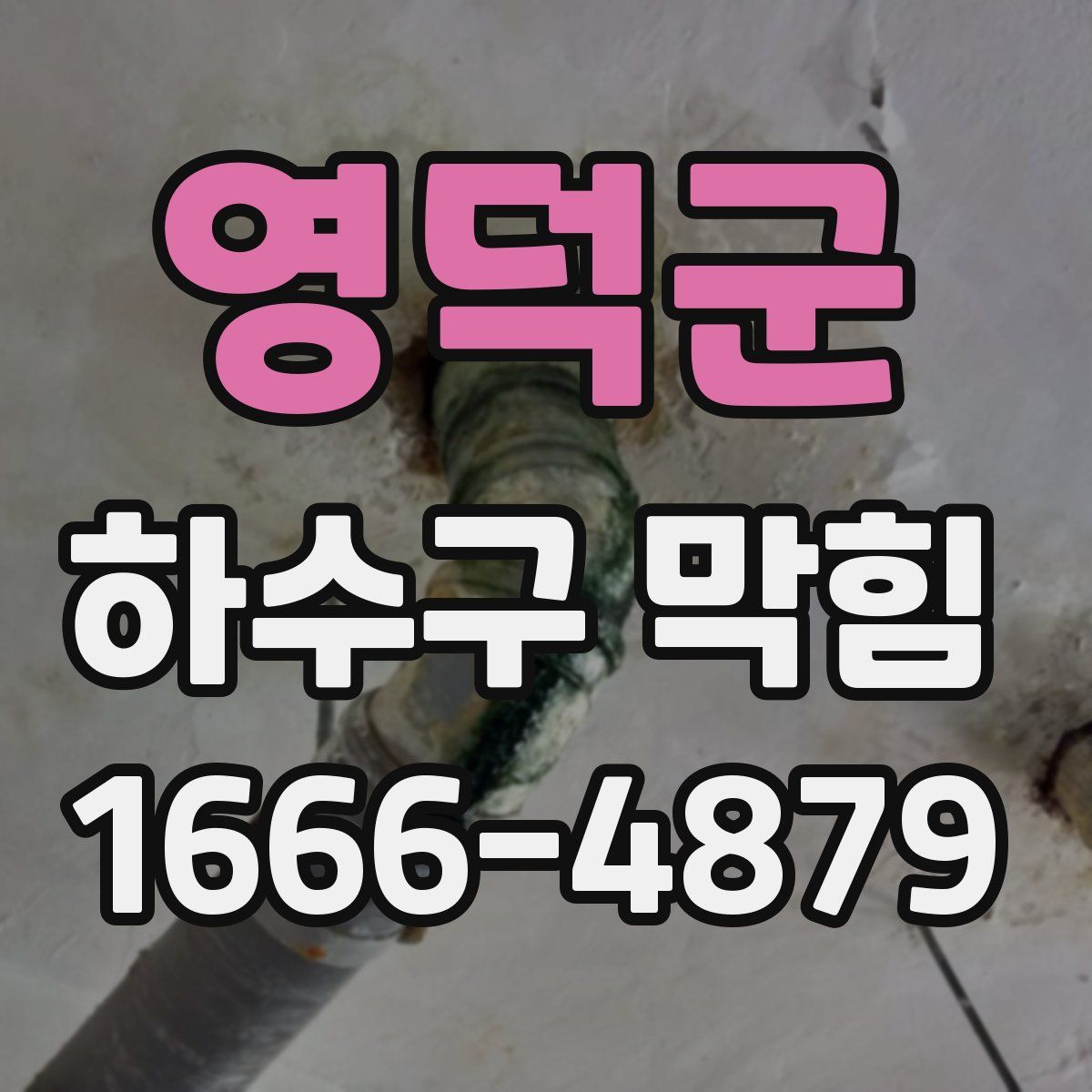 영덕군 하수구 막힘