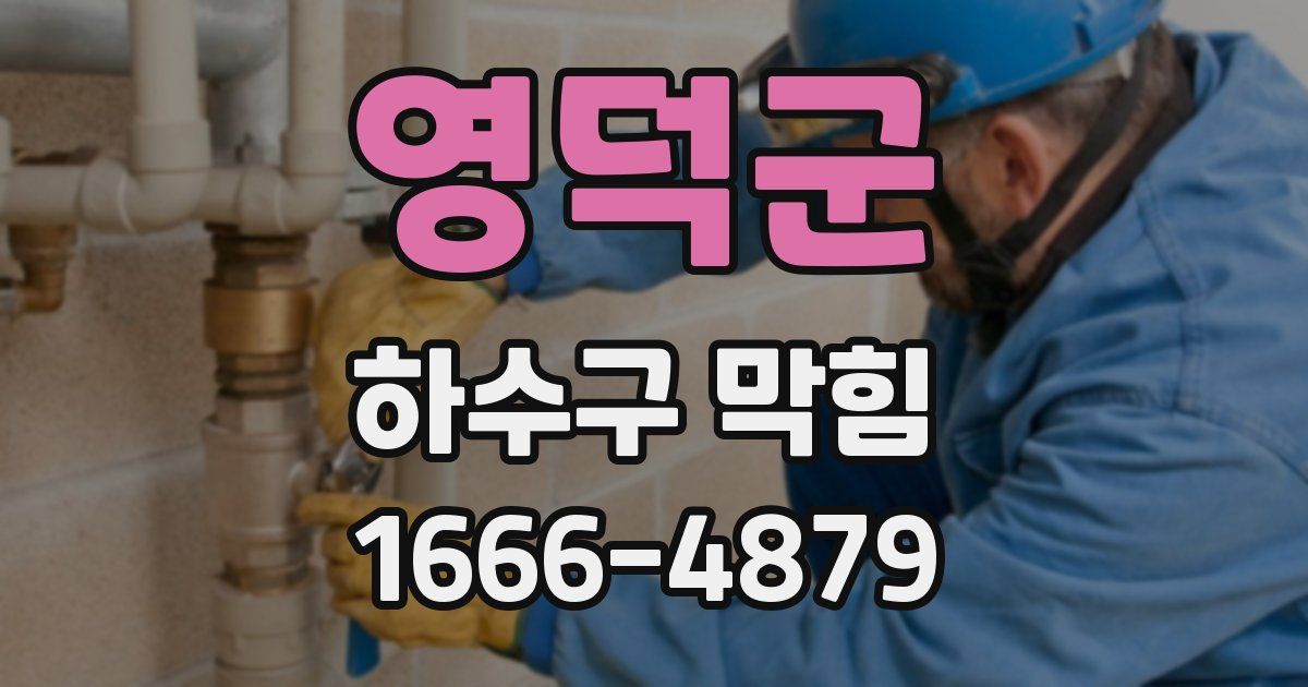 영덕군 하수구 막힘