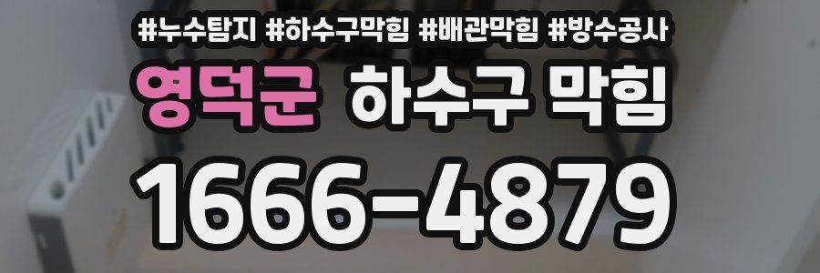 영덕군 하수구 막힘