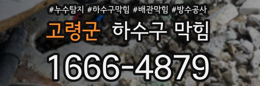 고령군 하수구 막힘