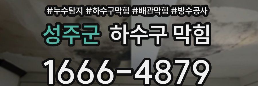 성주군 하수구 막힘