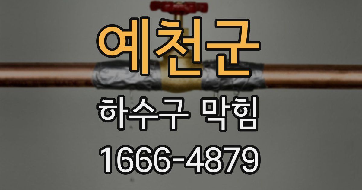 예천군 하수구 막힘