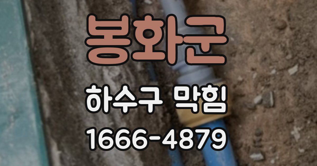 봉화군 하수구 막힘