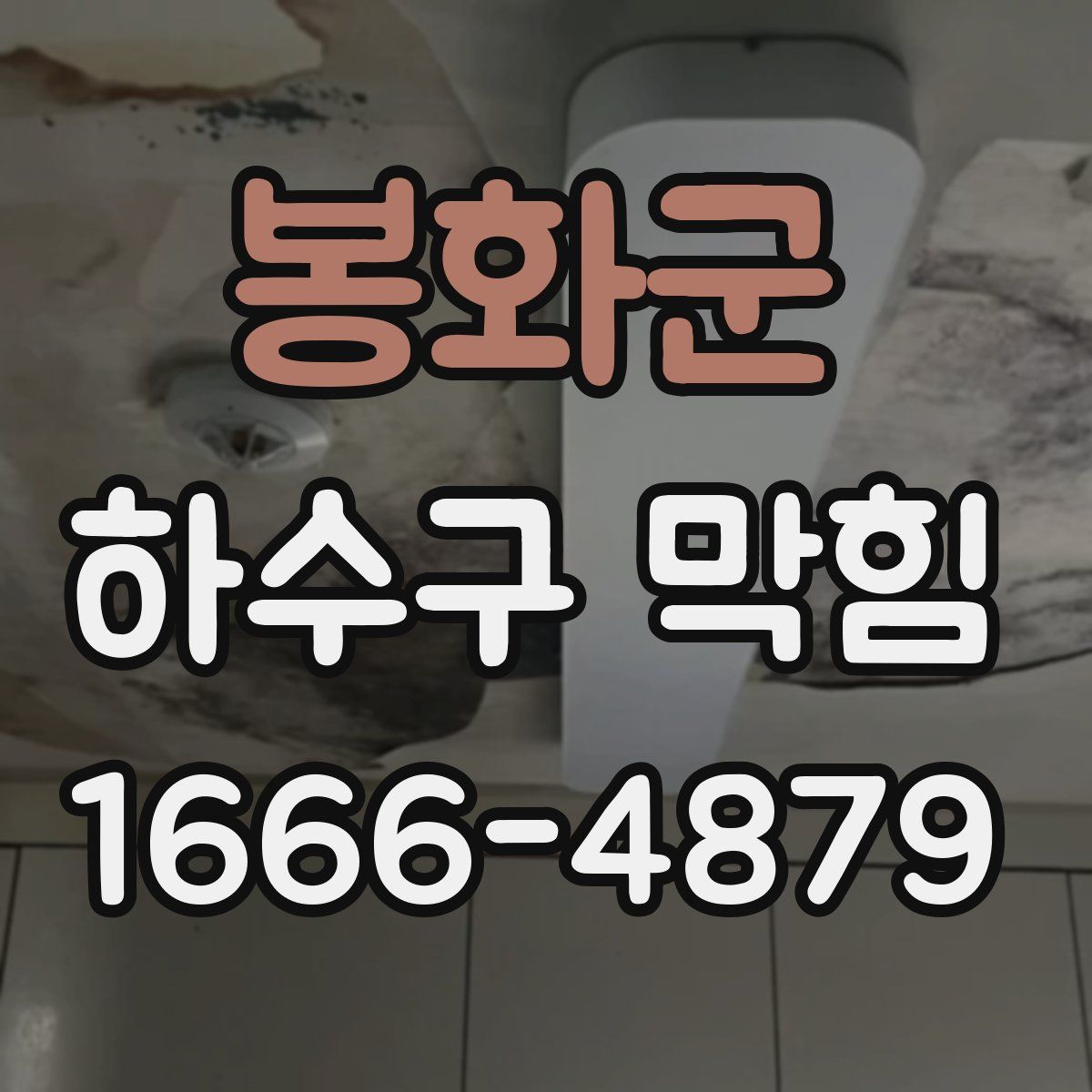 봉화군 하수구 막힘